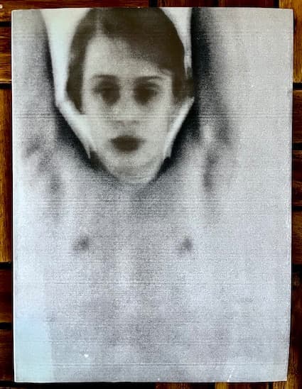 HARMONY KORINE THE BAD SON【限定本】