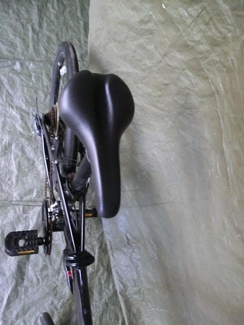 171：tern　NODE D16　ジャンク　引取限定：埼玉県所沢市