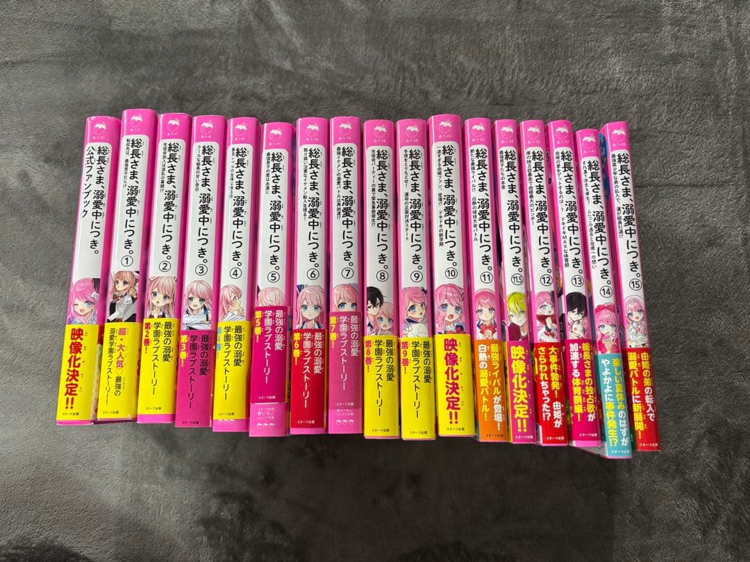 美品❣️ 総長さま、溺愛中につき。1〜15 11.5と公式ファンブック