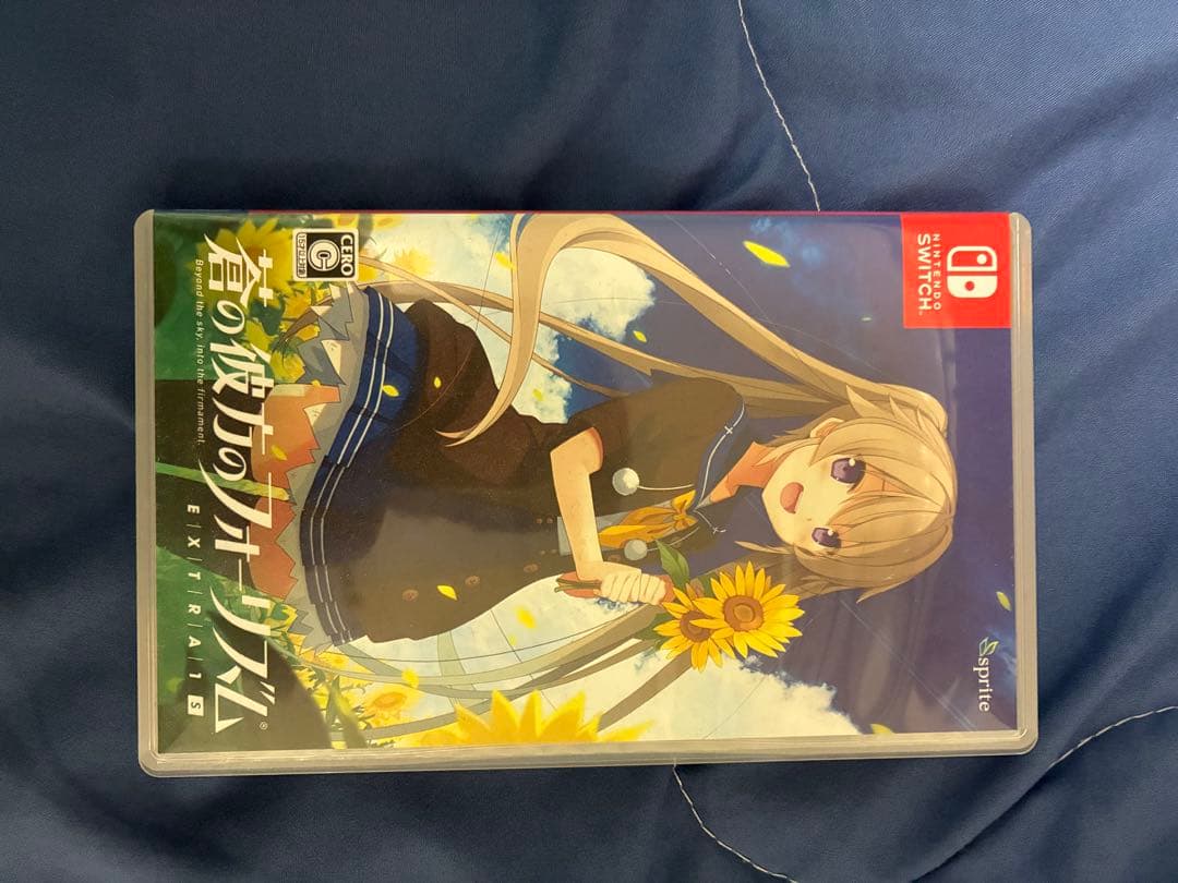 Nintendo Switch 本体 + USBコントローラー + ゲームソフト