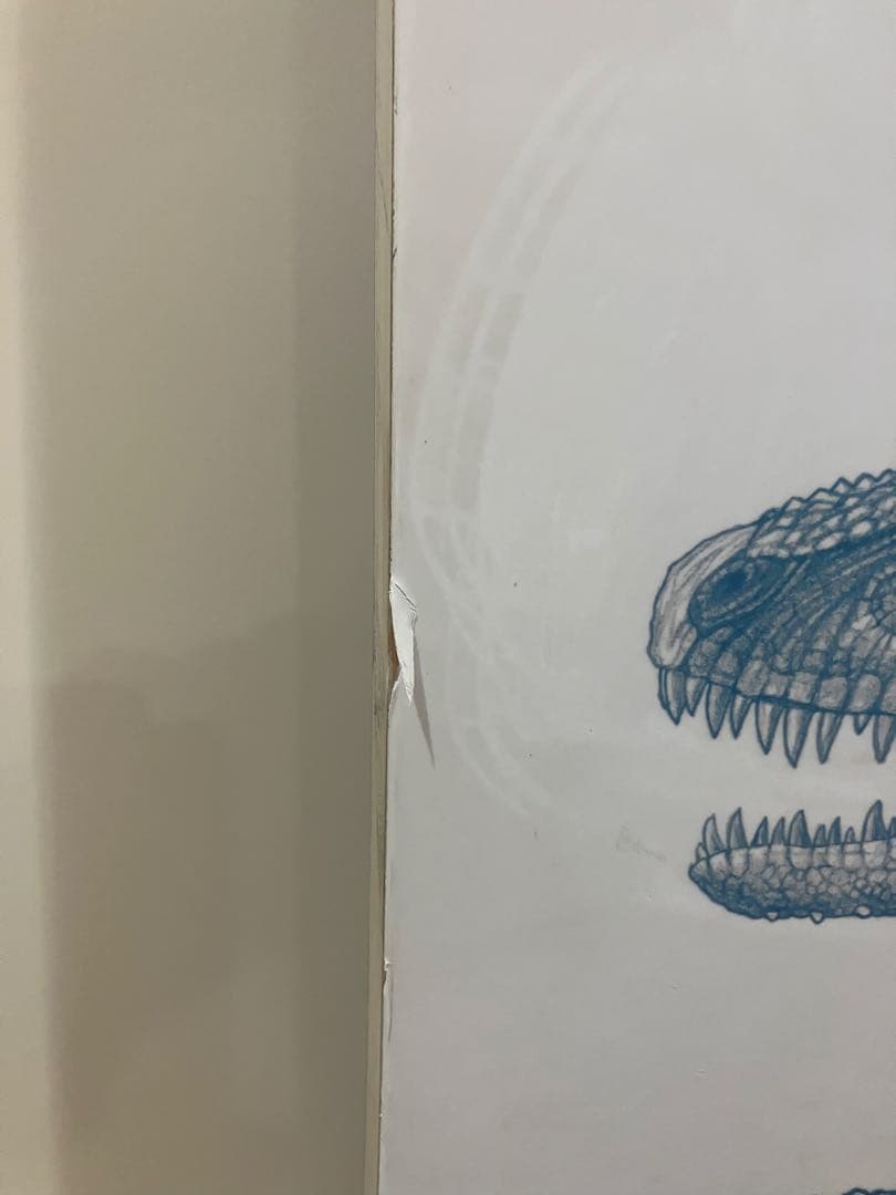 YONEX 4XP 151センチ　22-23 CALLAチューンナップ