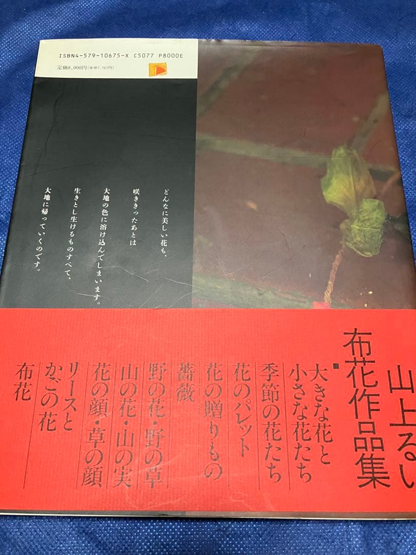 山上るい　遺作集　枯れていく花　初版