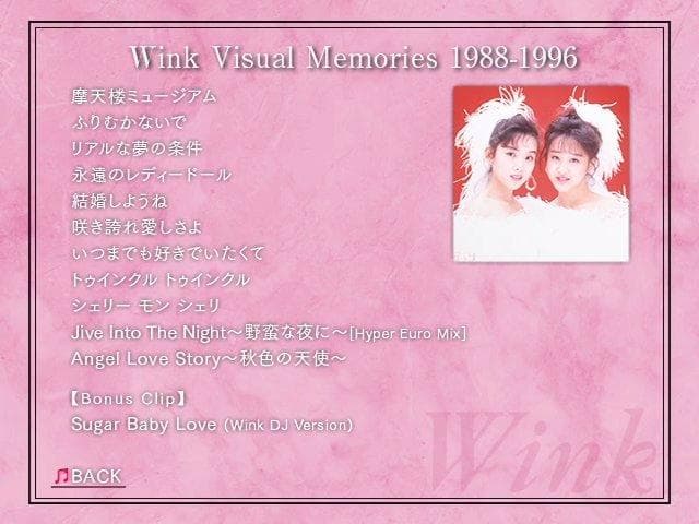 Wink Performance&Visual Memories 2作品セット