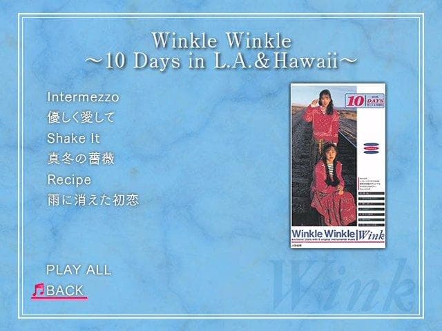 Wink Performance&Visual Memories 2作品セット