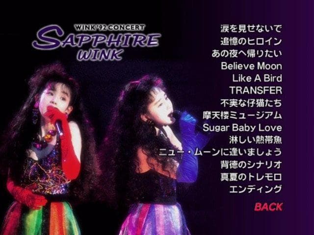 Wink Performance&Visual Memories 2作品セット