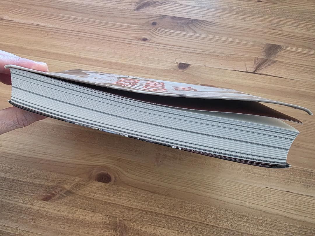 【洋書】THE TRENCH BOOK（トレンチブック） 希少 絶版