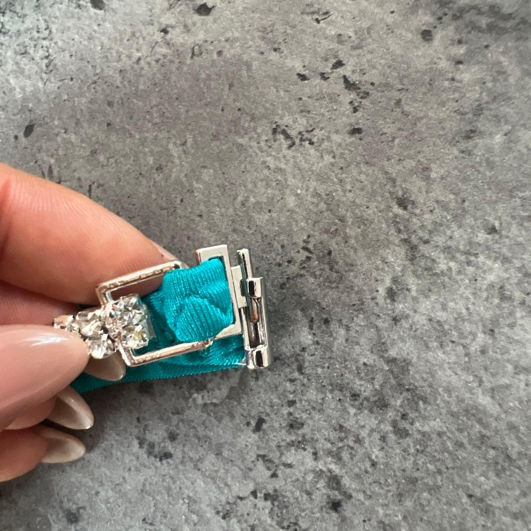 あや様用　　大会用ビキニ　SQUEENSビキニ　FWJ APF