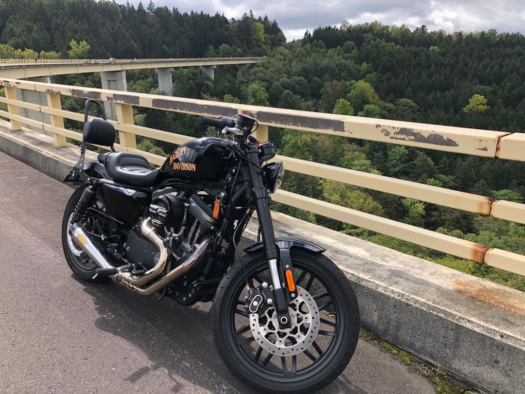 XL1200Xマフラー　RSD VANCE & HINESコラボスポーツスター