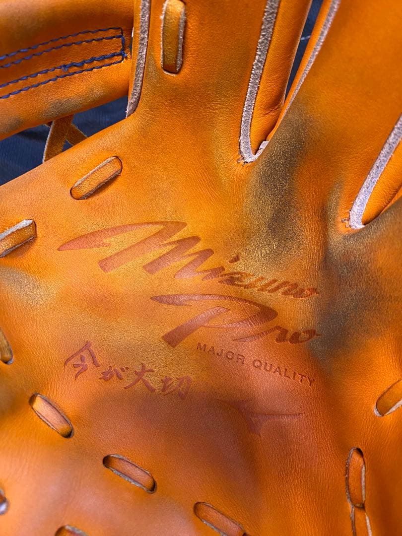 Mizuno Pro 硬式グローブ ミズノプロ　tm型