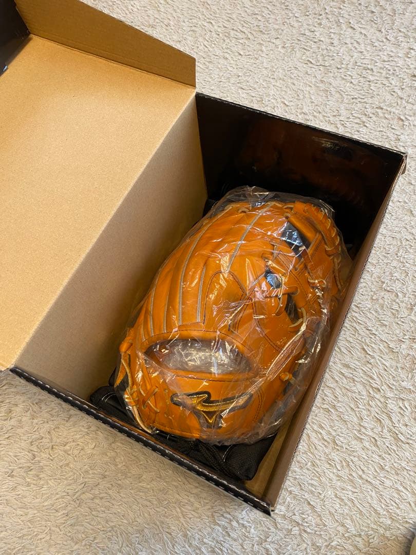 Mizuno Pro 硬式グローブ ミズノプロ　tm型