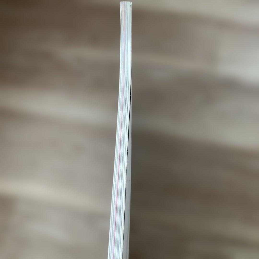 アート・デザイン・音楽 STUDIO VOICE No. 217 Martin Margiela