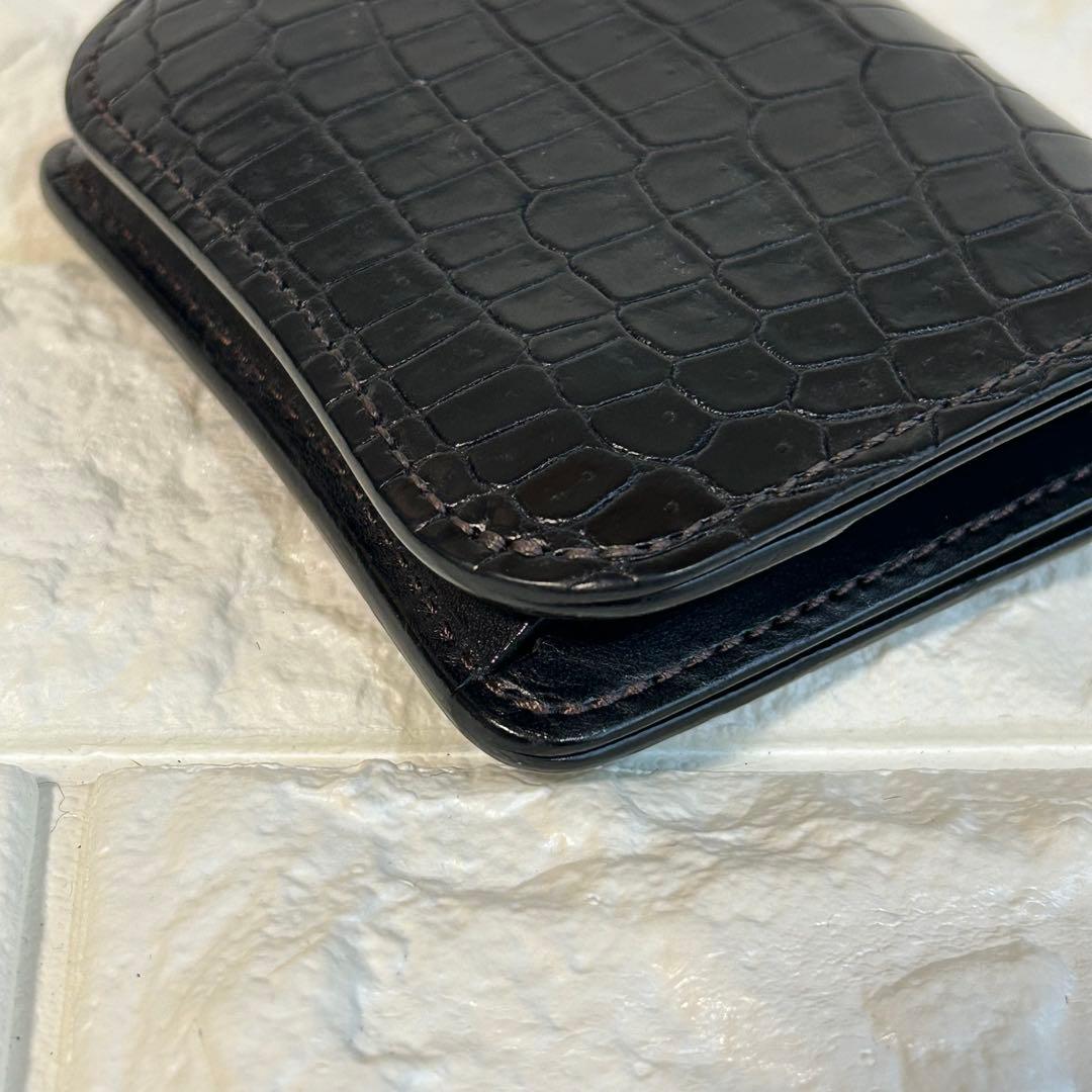 ワイルドスワンズ　CROCODILE / PALM-V2 ブラック