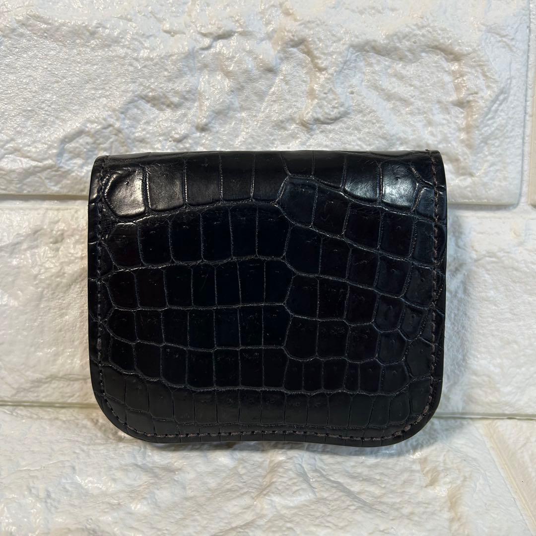 ワイルドスワンズ　CROCODILE / PALM-V2 ブラック