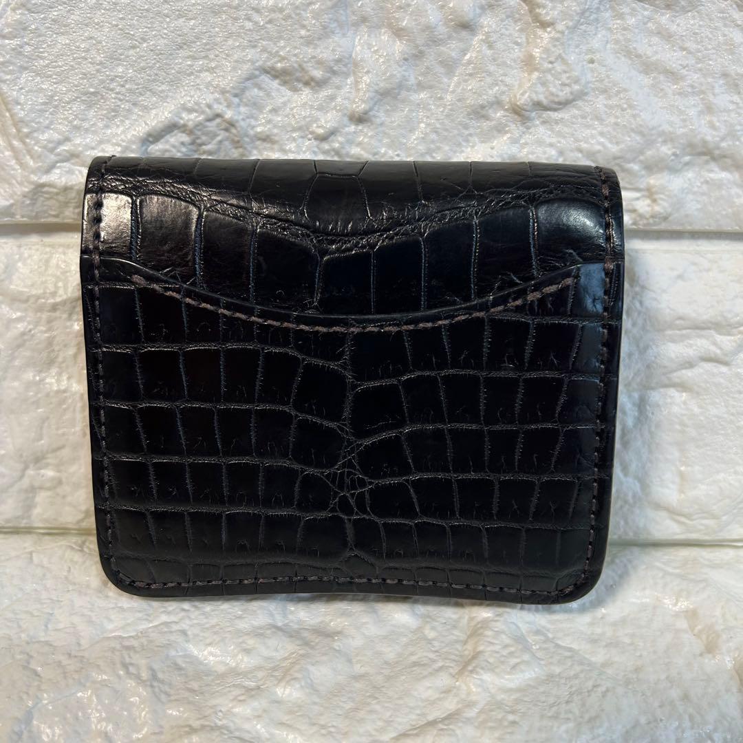 ワイルドスワンズ　CROCODILE / PALM-V2 ブラック