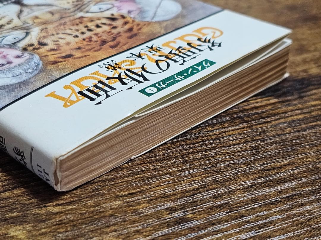 希少　初版　グイン・サーガ　①　豹頭の仮面　栗本 薫　加藤直之　サイン入り