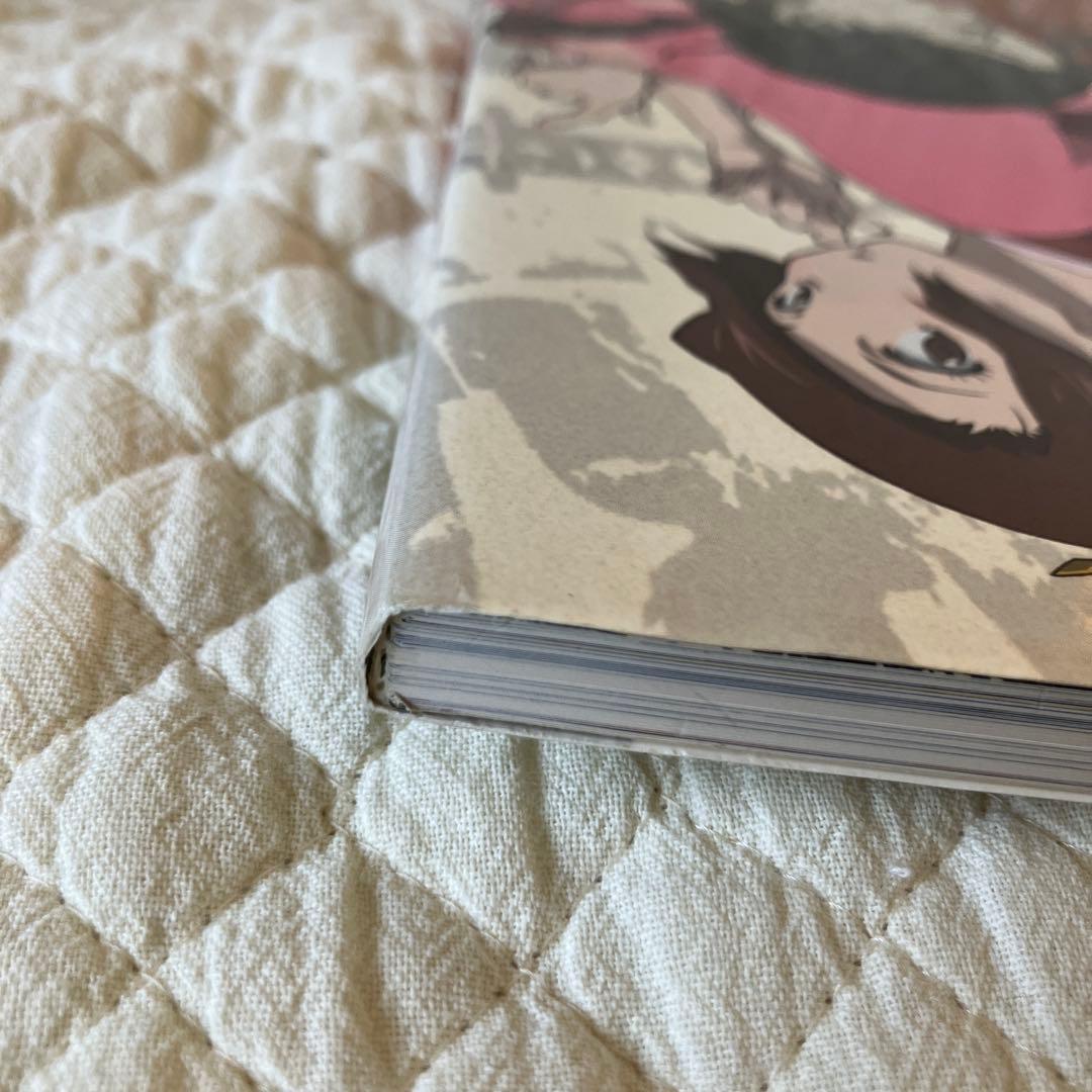 初版 ロマンアルバム サムライ・チャンプルー SAMURAI CHAMPLOO