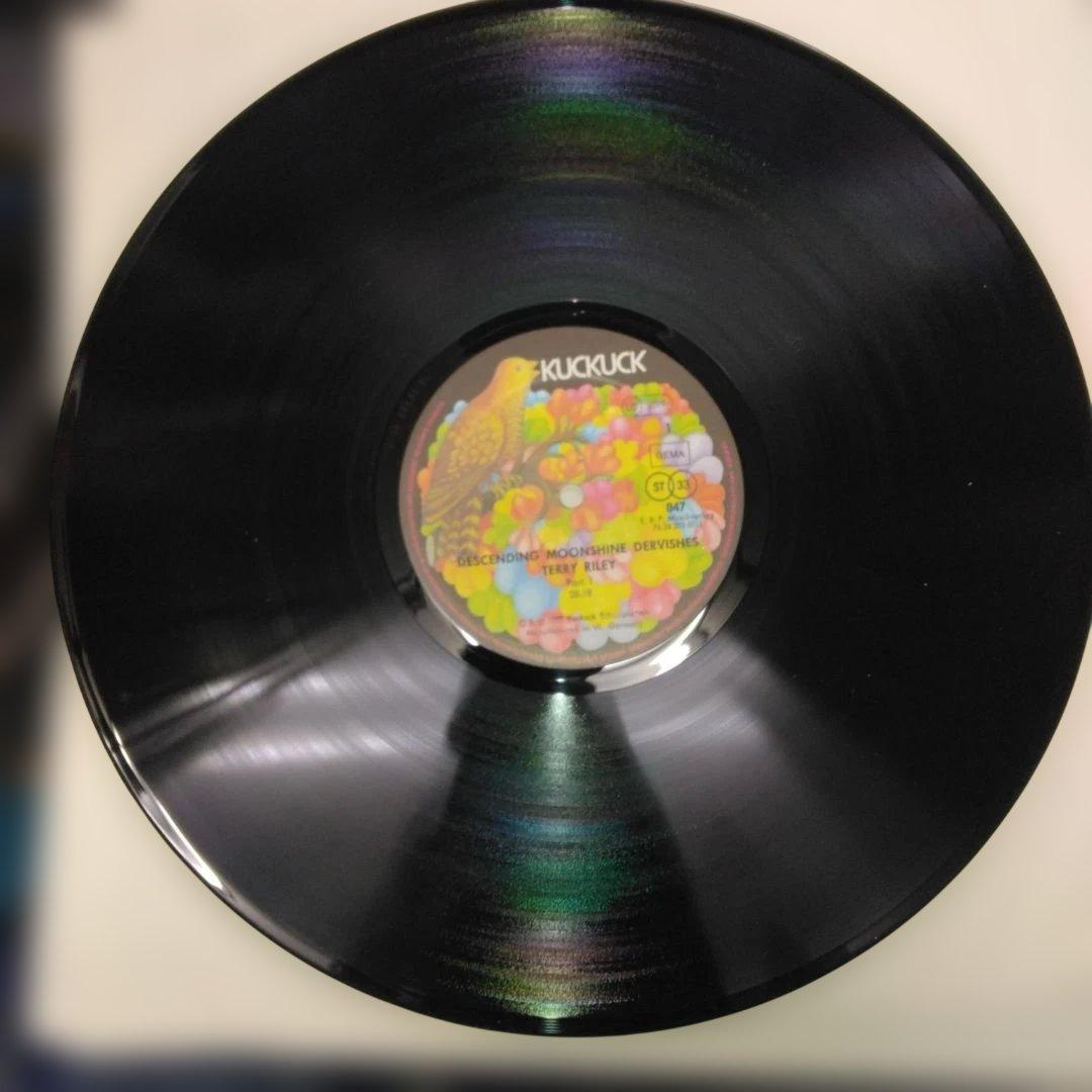 ['82年EU盤LP] テリーライリーDescending Moonshine…