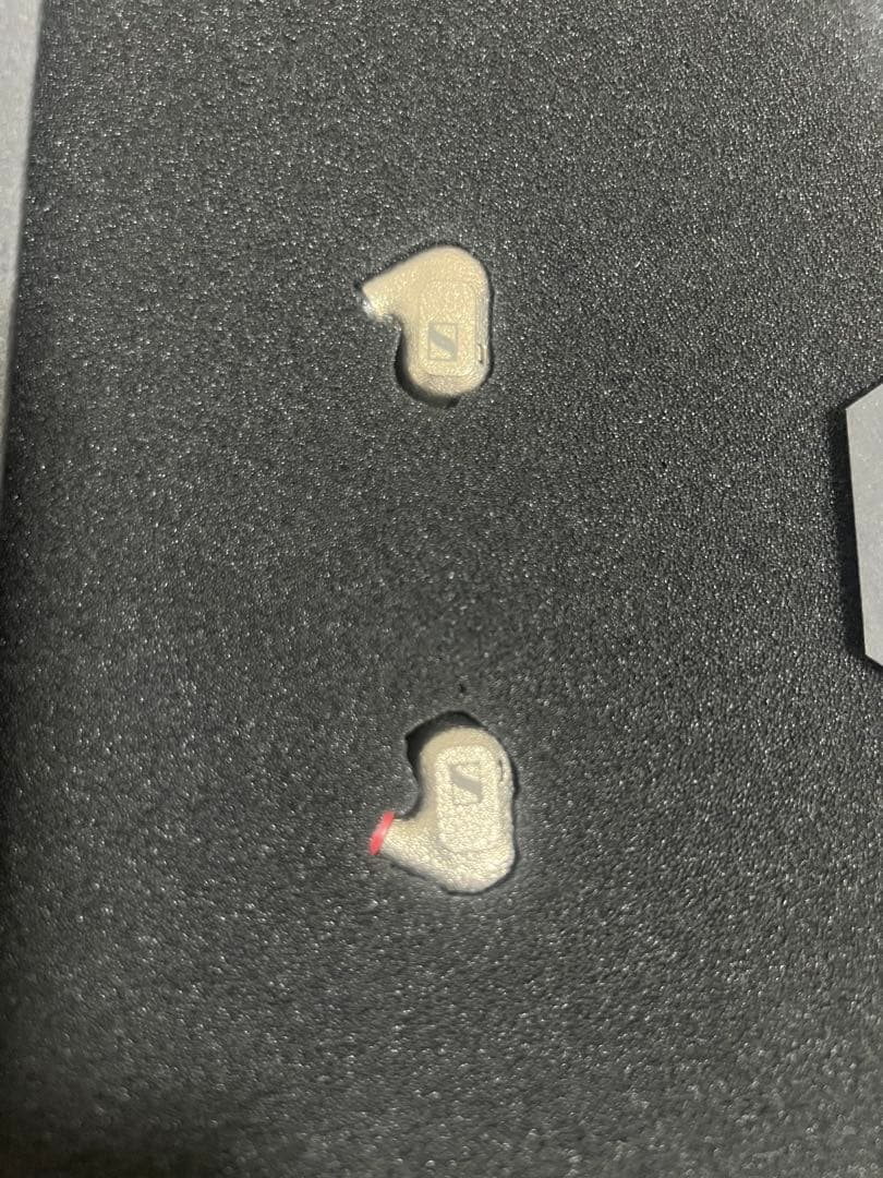極美品 SENNHEISER IE600 2024年製