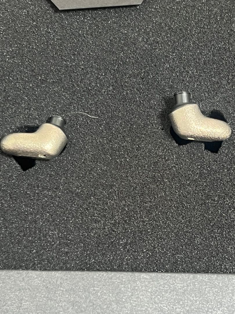 極美品 SENNHEISER IE600 2024年製