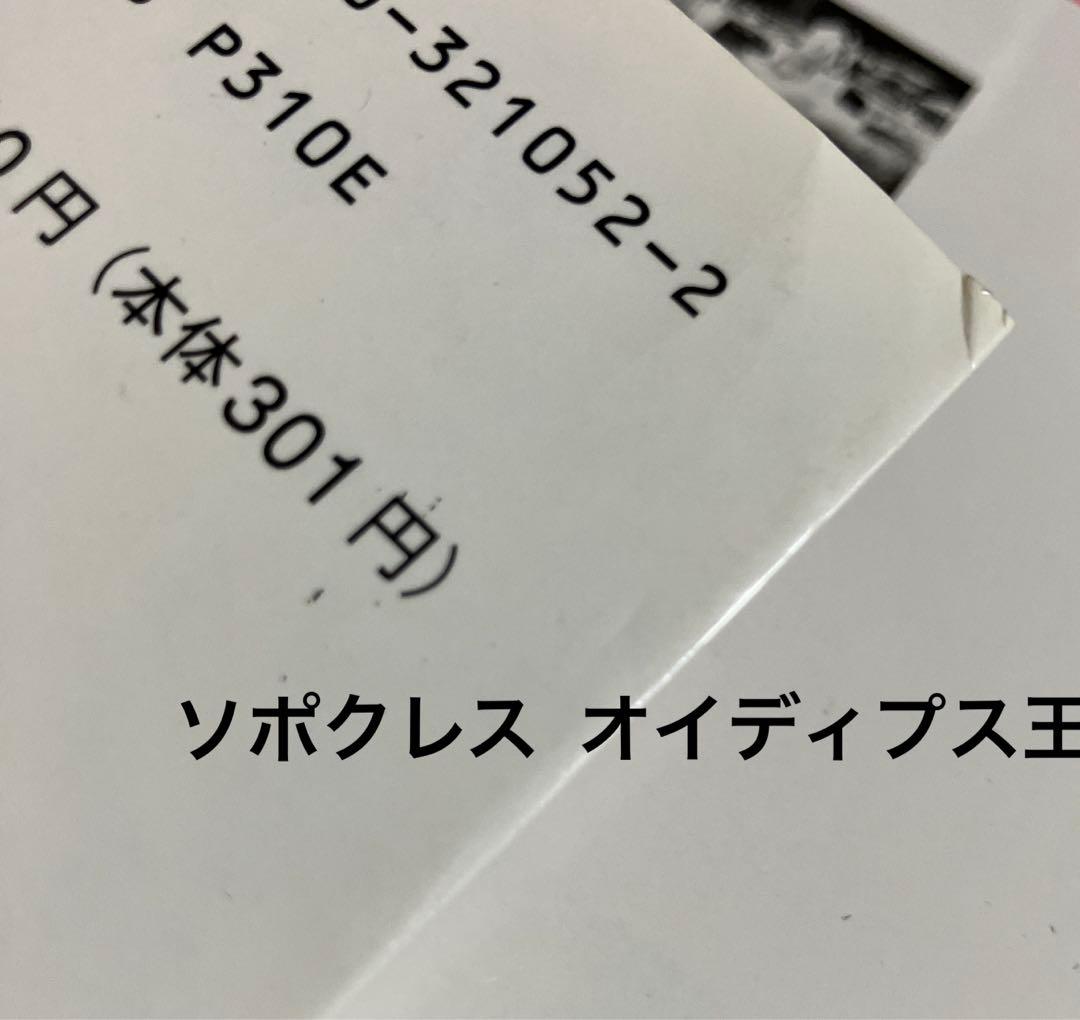 岩波文庫　赤帯　青帯　白帯　緑帯　22冊まとめ売り　文庫本