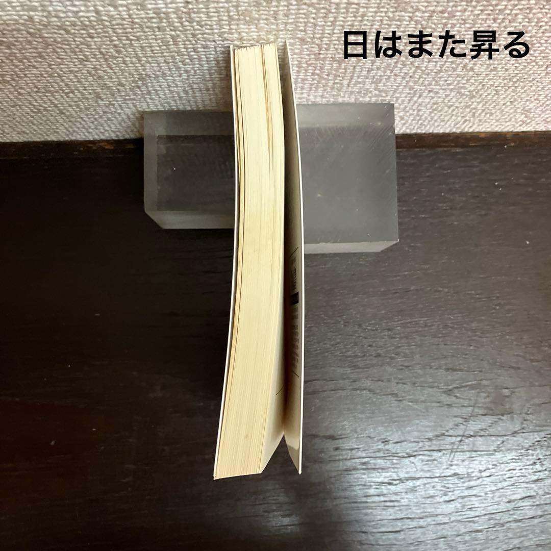 岩波文庫　赤帯　青帯　白帯　緑帯　22冊まとめ売り　文庫本