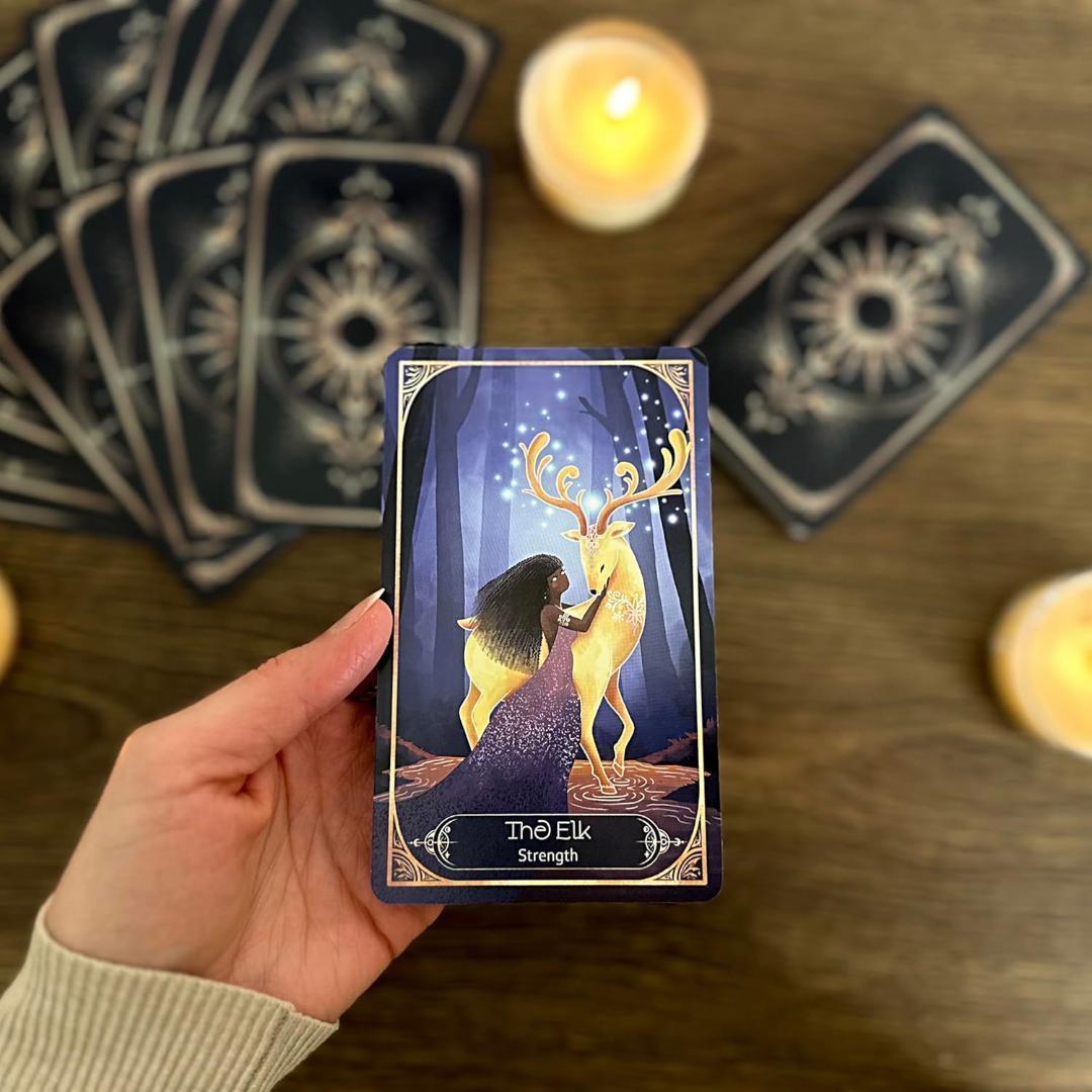 【正規品オラクルカード】希少インディーズ✨人間と動物界を繋ぐ美しい手描きのアート