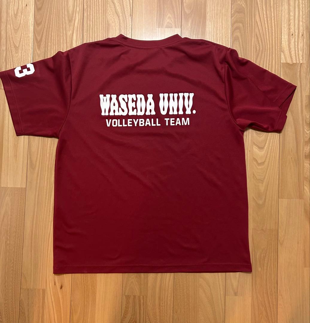 【希少】早稲田大学　バレーボール　練習着　2016年　選手実使用品　インカレ