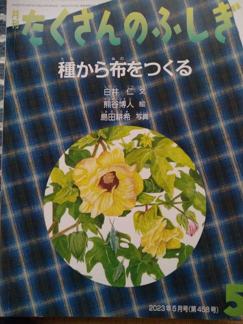 たくさんのふしぎ 2023年版12冊セット