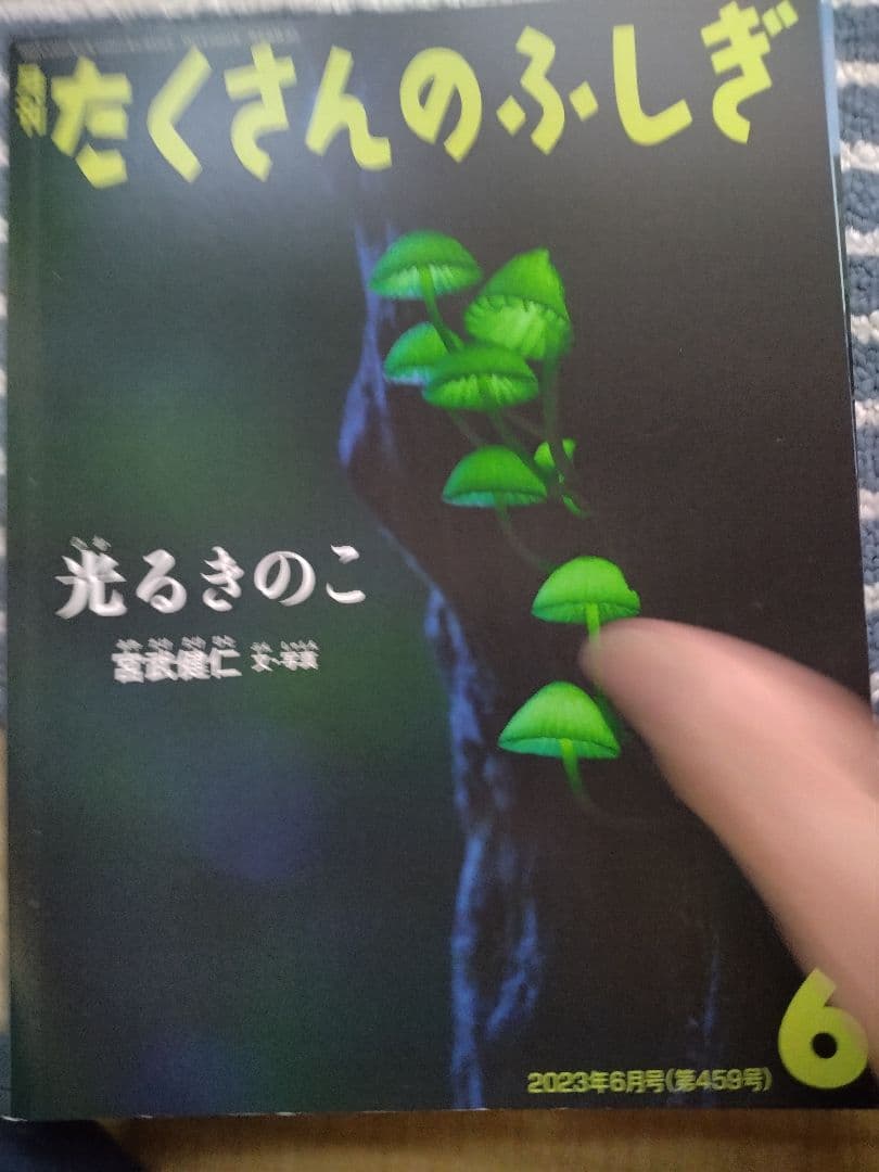 たくさんのふしぎ 2023年版12冊セット