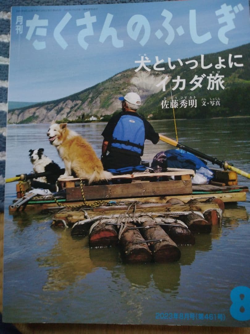 たくさんのふしぎ 2023年版12冊セット