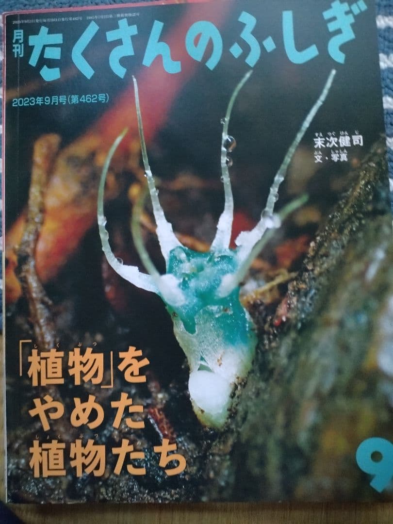 たくさんのふしぎ 2023年版12冊セット