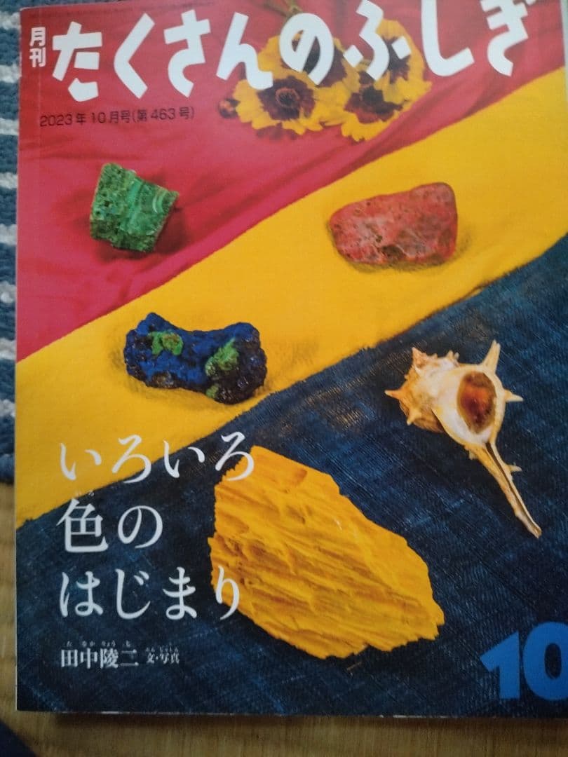 たくさんのふしぎ 2023年版12冊セット