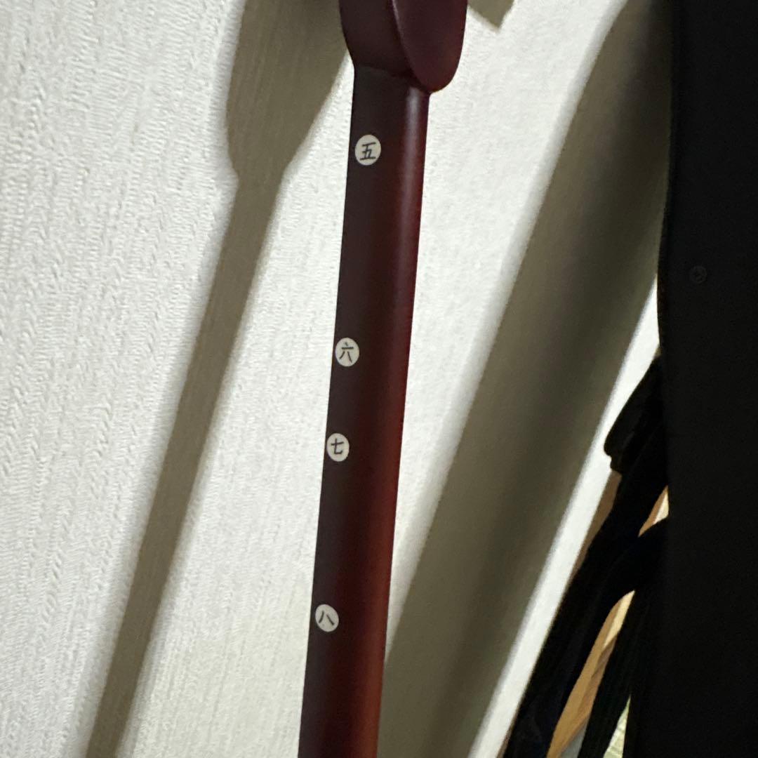 三線 蛇三線 本皮 本革 蛇皮 蛇革 三味線 琉球 沖縄 楽器　ソフトケース付き