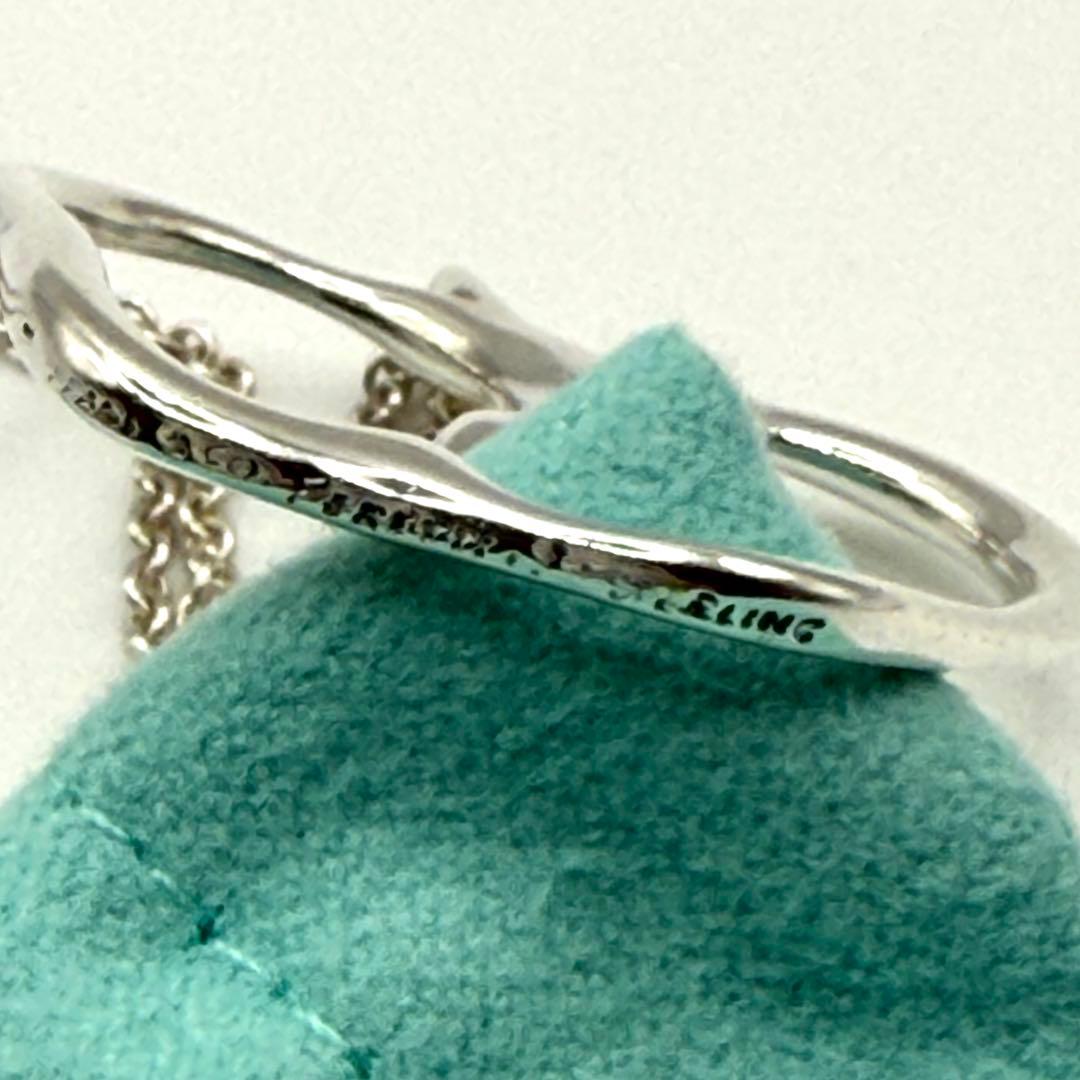 お買い得★希少 ティファニー アップル ラージ ネックレス シルバー ビッグ