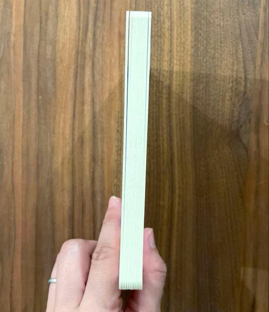 ★絶版本　入手困難　初版　綺麗良好★ ポケモン金銀えほん　ワニノコがぶりんちょ！