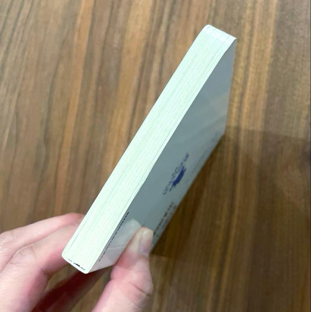 ★絶版本　入手困難　初版　綺麗良好★ ポケモン金銀えほん　ワニノコがぶりんちょ！