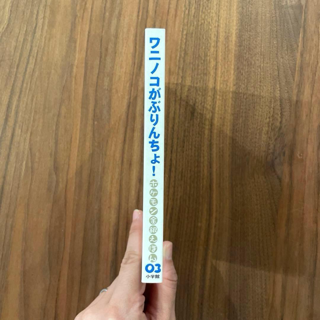 ★絶版本　入手困難　初版　綺麗良好★ ポケモン金銀えほん　ワニノコがぶりんちょ！