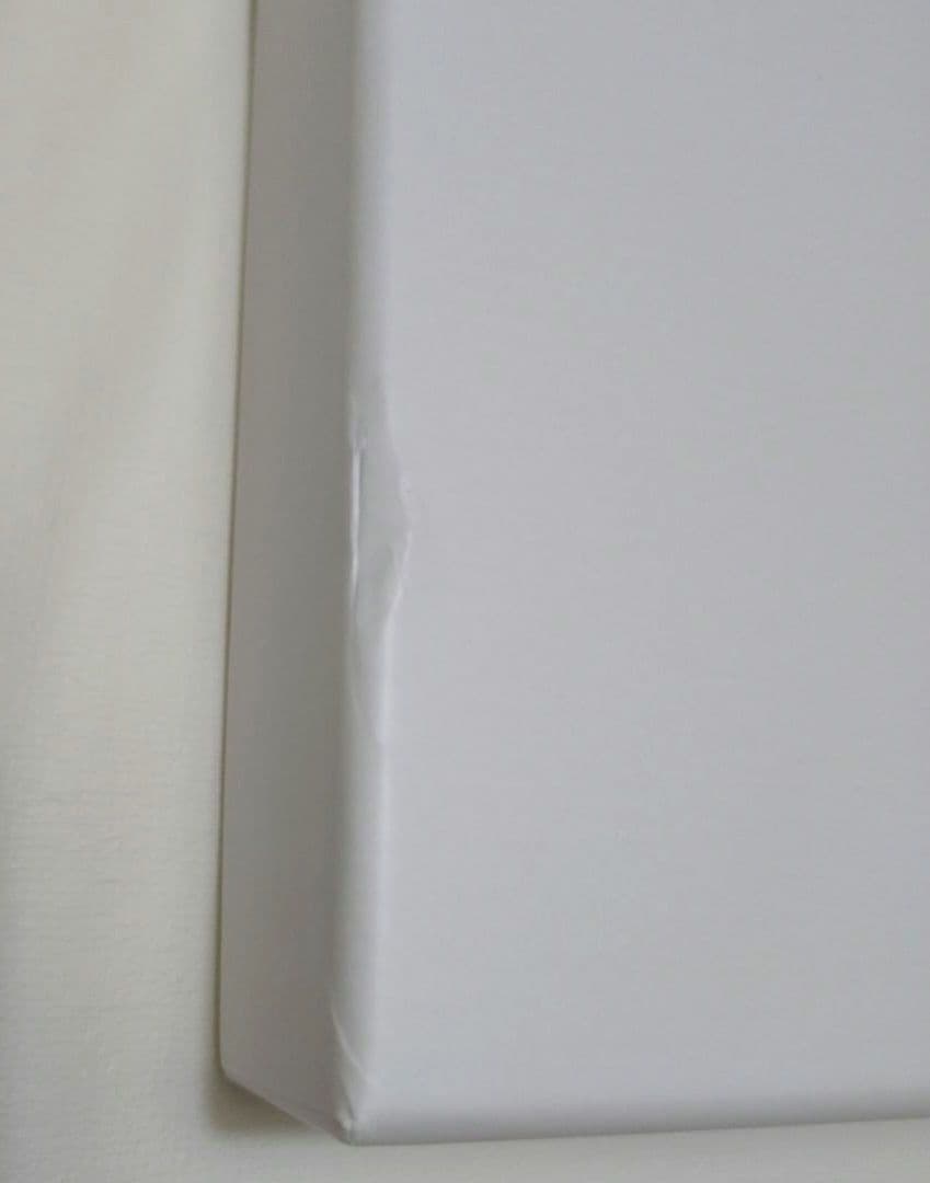 エレファントカシマシ「 THE FIGHTING MAN」デラックス盤