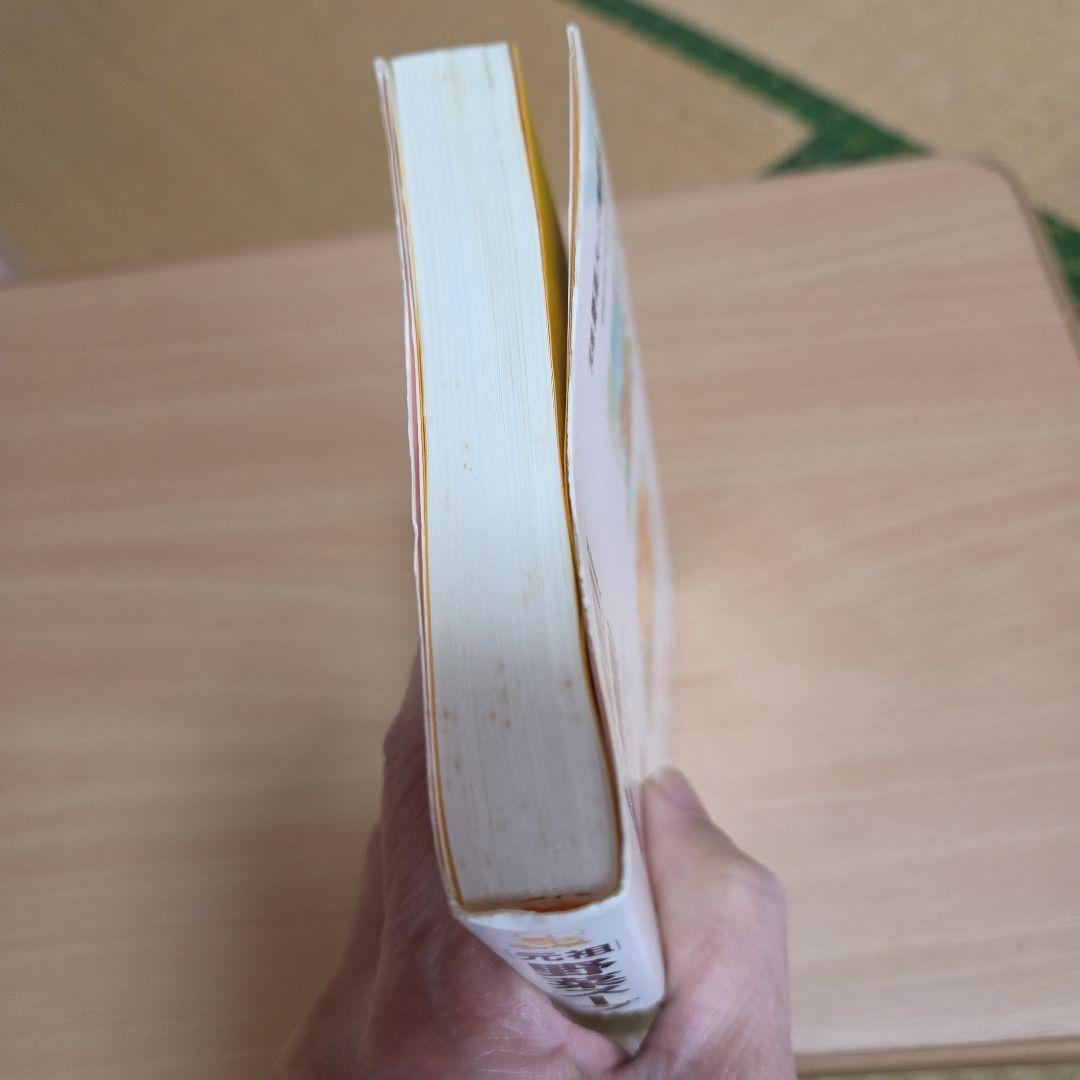 「元祖」　野菜スープ強健法　ガン細胞も3日で消えた 立石和