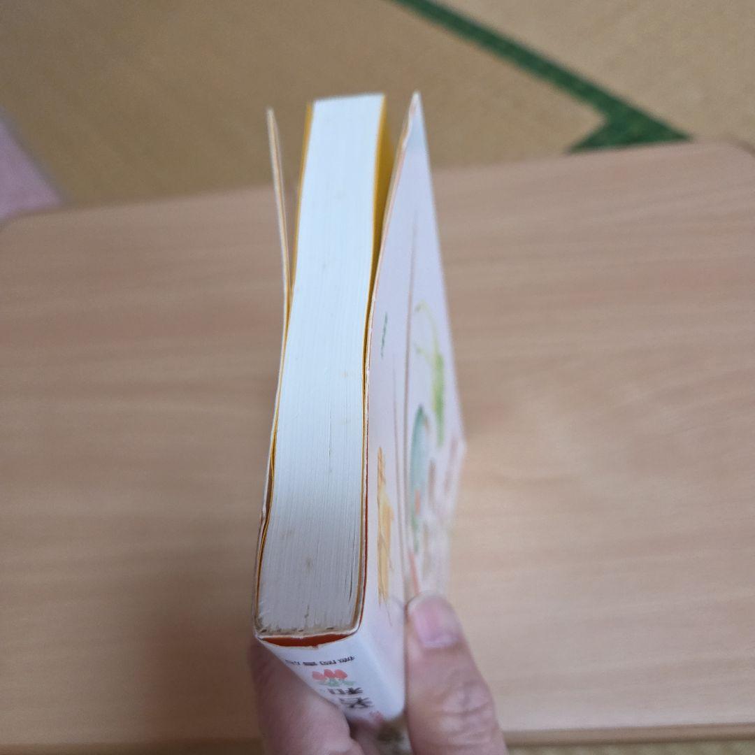 「元祖」　野菜スープ強健法　ガン細胞も3日で消えた 立石和