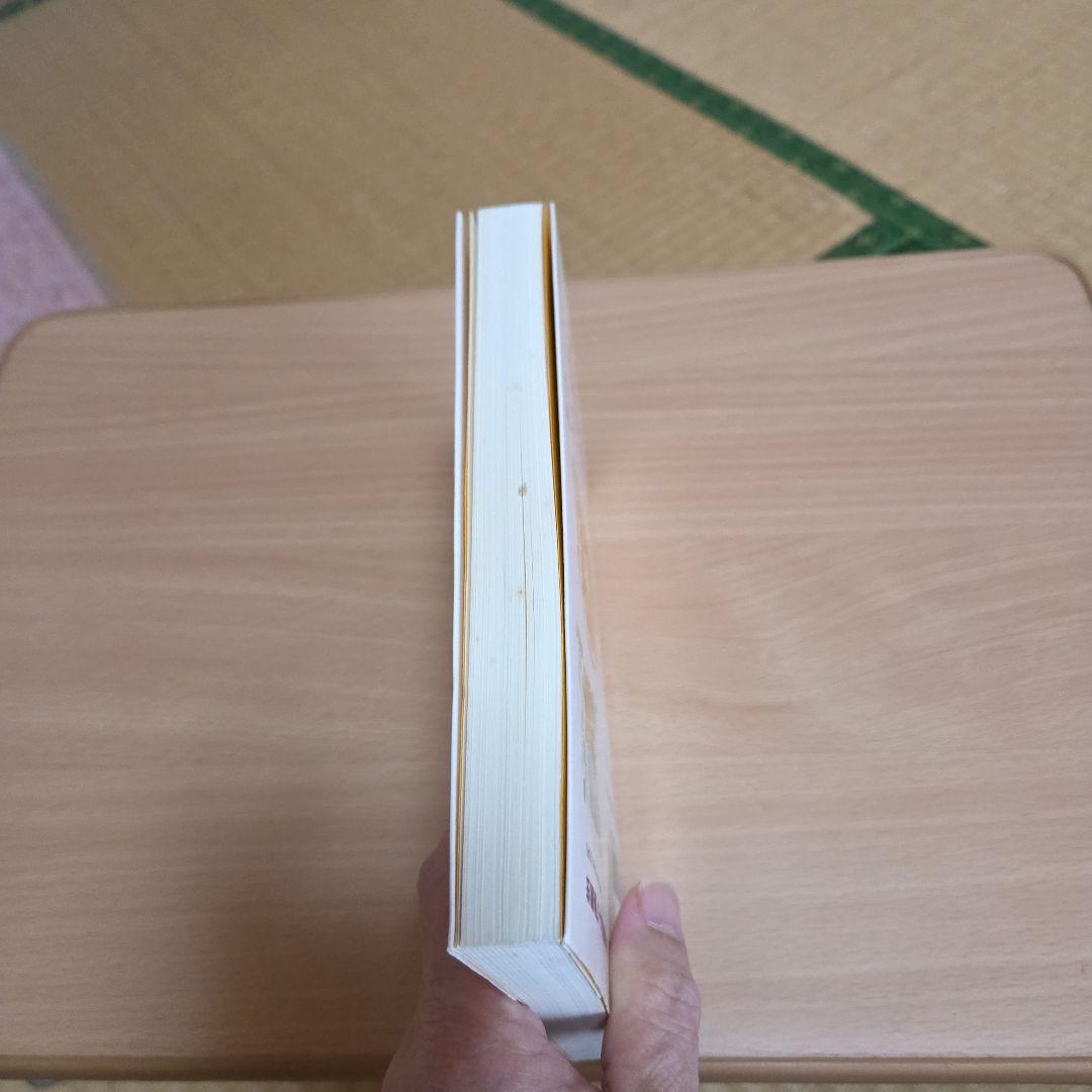 「元祖」　野菜スープ強健法　ガン細胞も3日で消えた 立石和