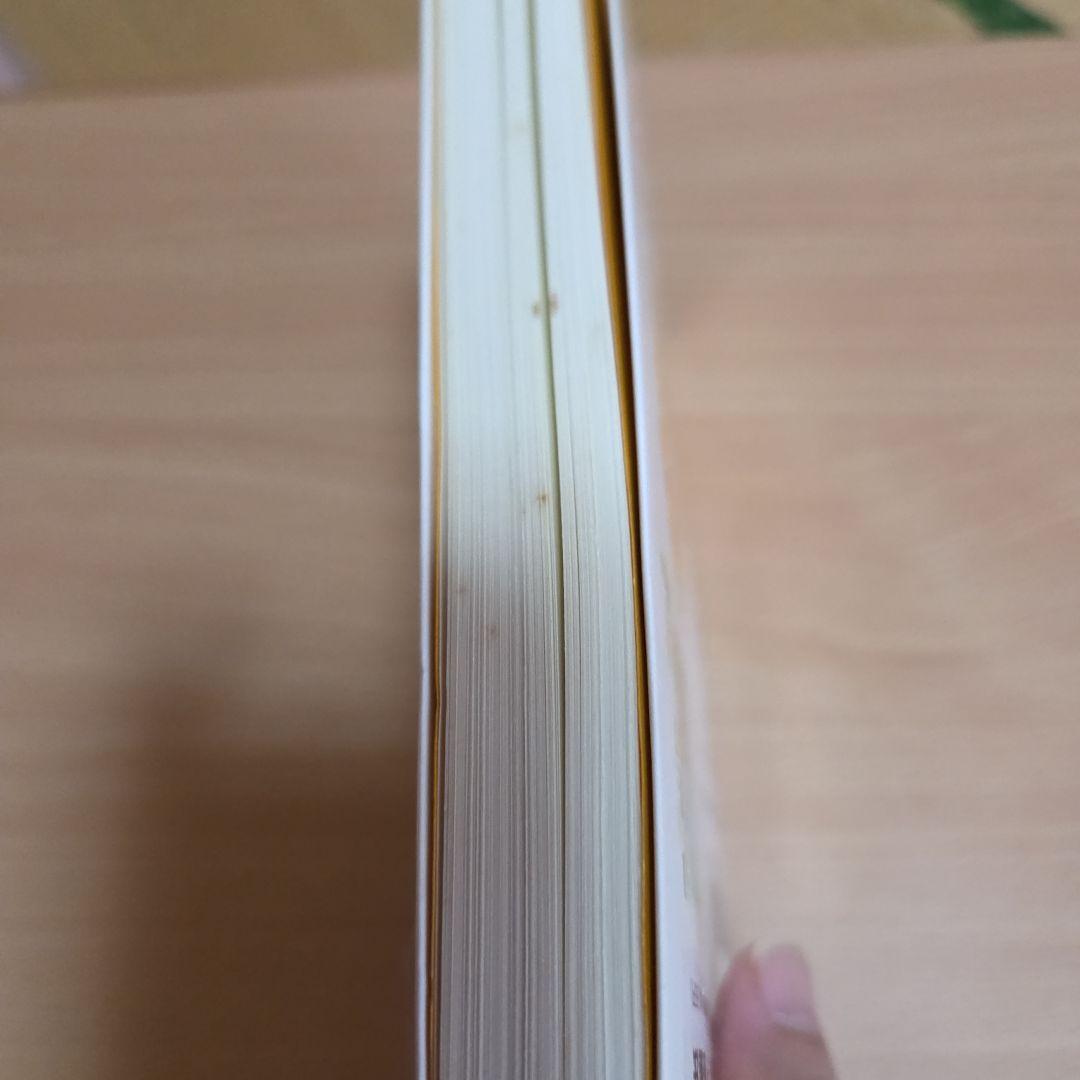 「元祖」　野菜スープ強健法　ガン細胞も3日で消えた 立石和