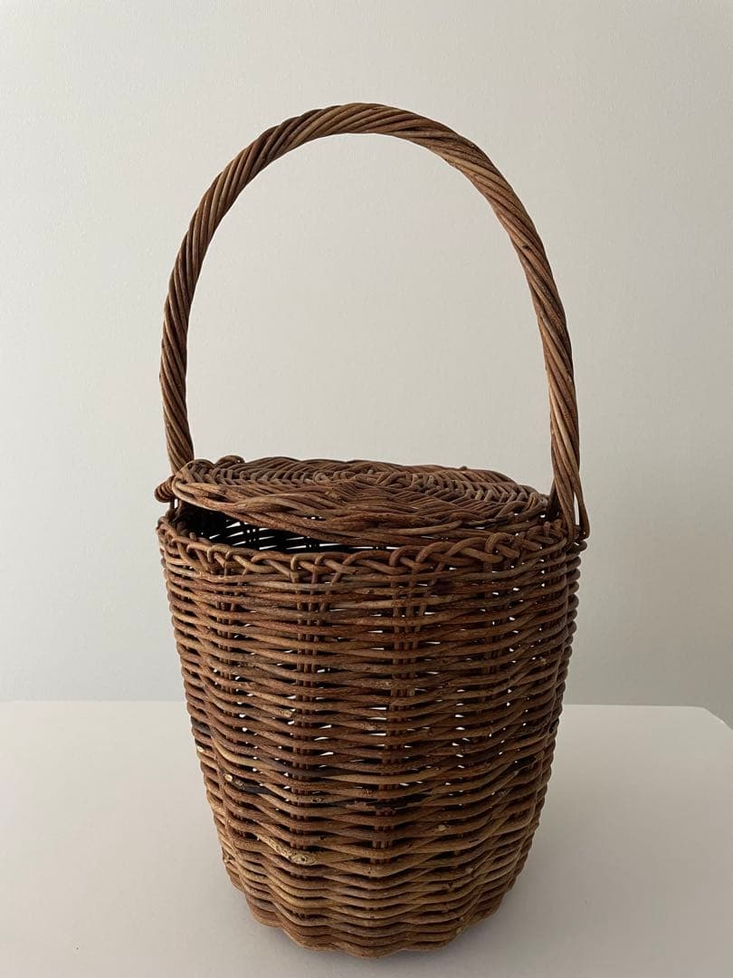 あけびカゴバッグ カゴバッグ 蓋付きバスケット 天然あけび バーキンカゴバッグ