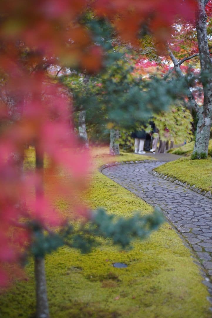 【動作確認済】Nikon Ai-s 50mm f1.8 パンケーキレンズ