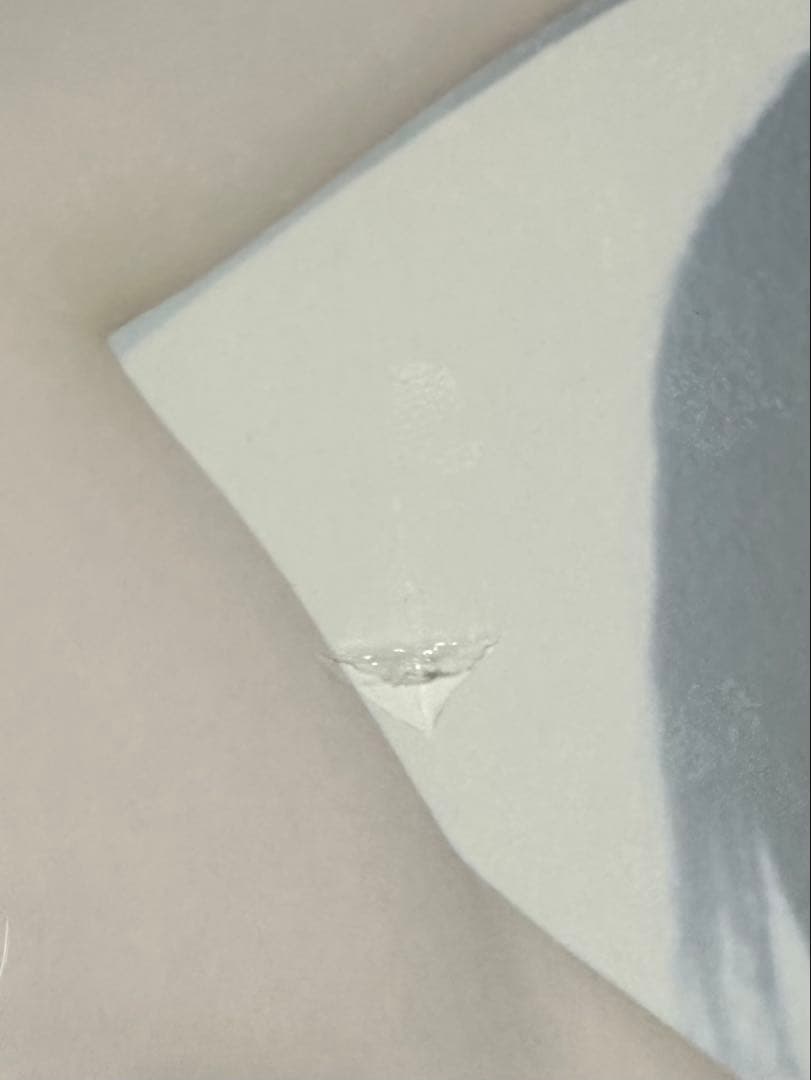 柴田淳　20th Anniversary Favorites 完全生産限定盤