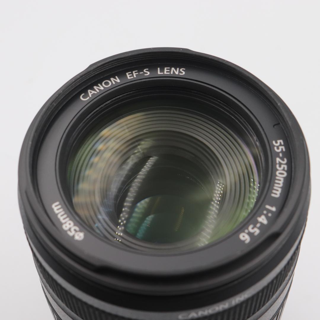 Canon EF-S 55 -250mm F4.5-5.6 IS 望遠
