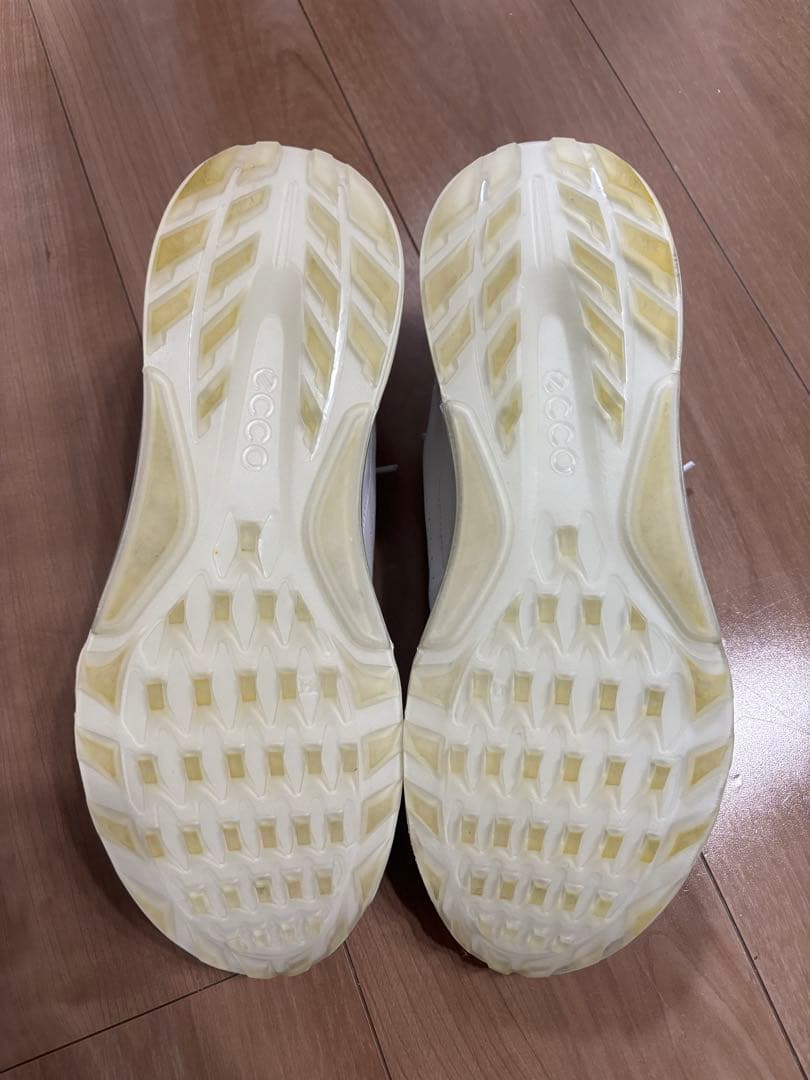 ECCO ecco ゴルフシューズ　Gore-Tex