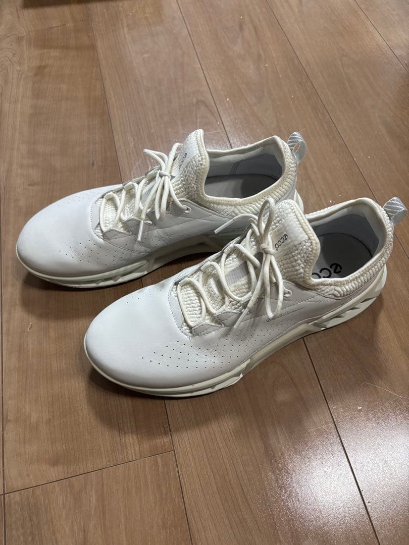 ECCO ecco ゴルフシューズ　Gore-Tex