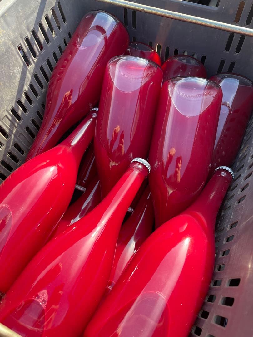 ブラッドオレンジジュース（モロ種）　100%ストレートジュース　12本入