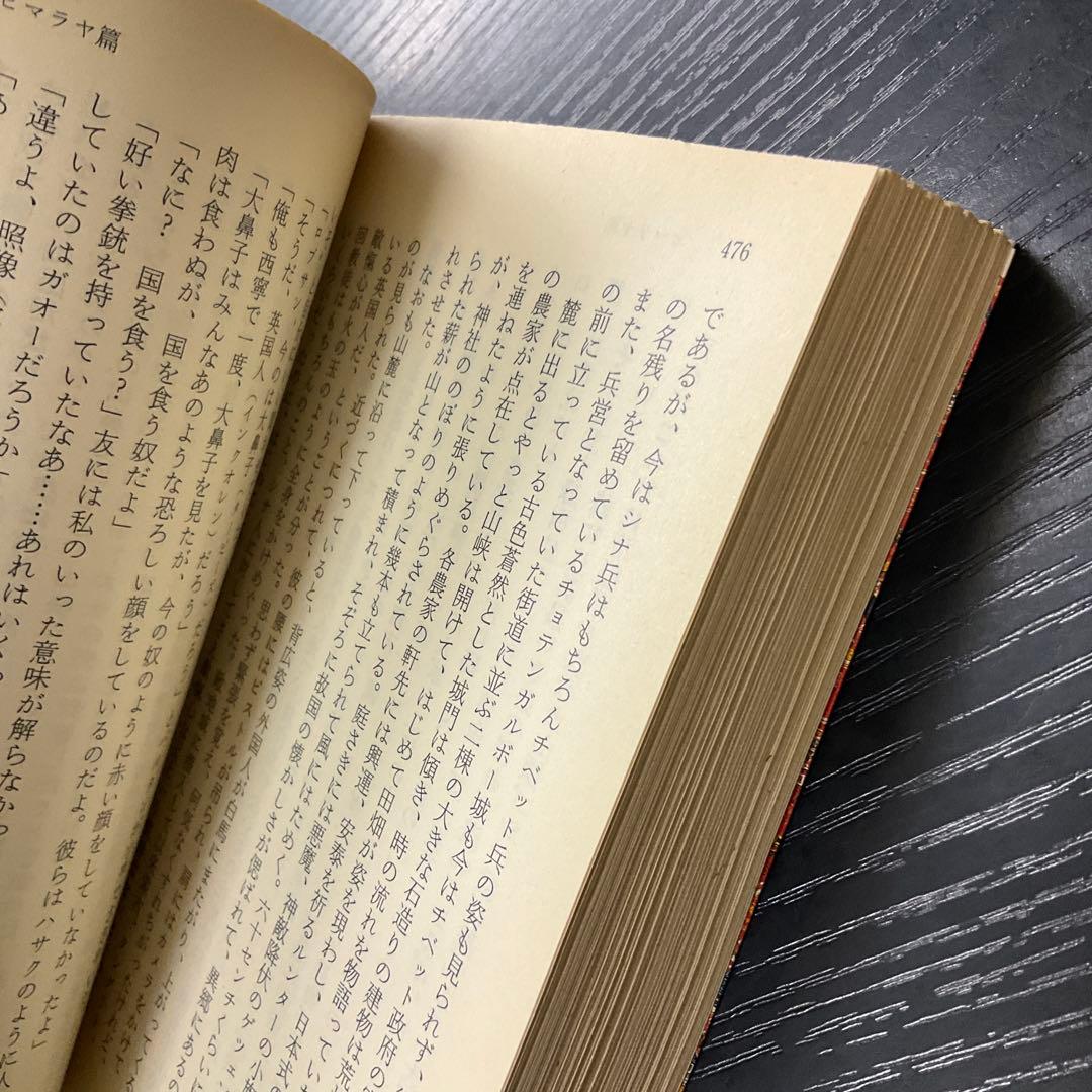 秘境西域八年の潜行 中巻